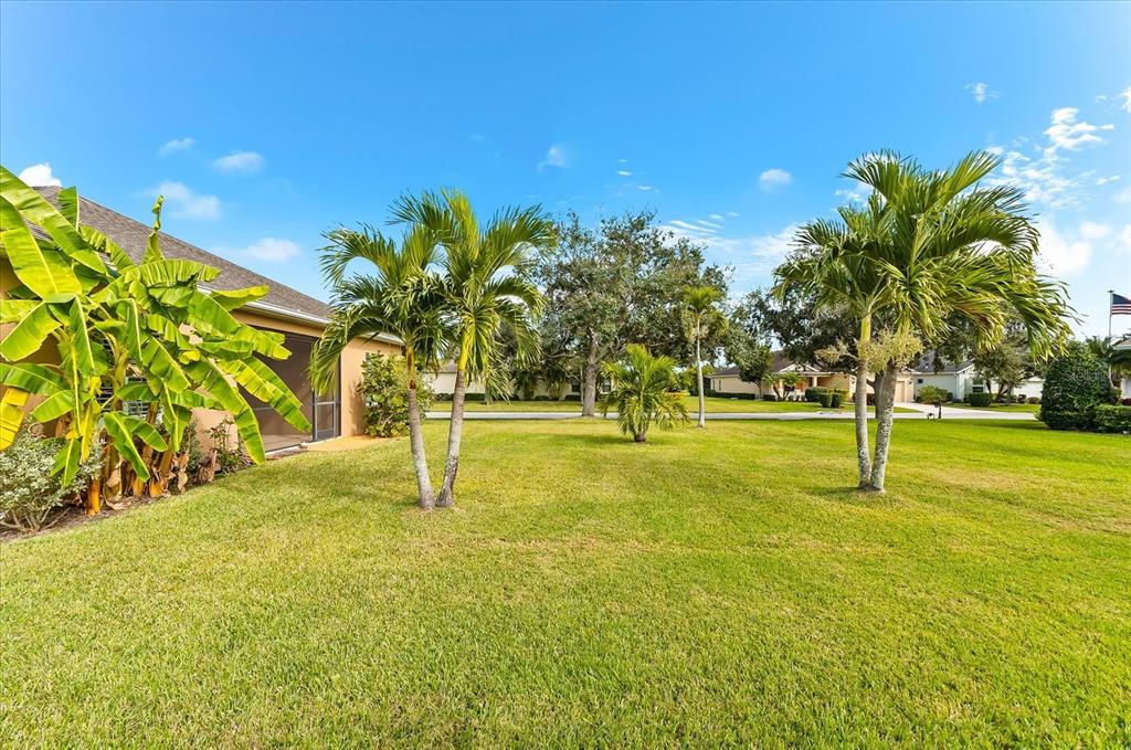 4326 Forest Creek Trail Parrish, FL 34219 - Photo 46 of 73 a swimming pool with yard