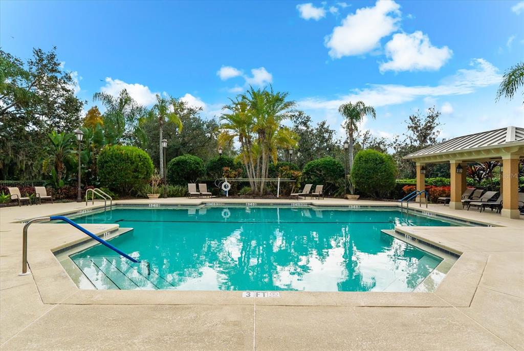 4326 Forest Creek Trail Parrish, FL 34219 - Photo 64 of 73 a view of a swimming pool with a garden and plants
