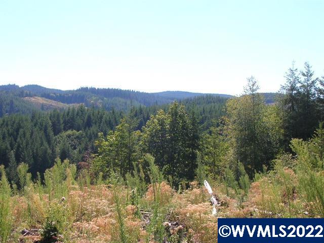 Chapman Grange (lot Road, Unit 25 & 26) Scappoose, OR 97056 - Photo 3 of 7