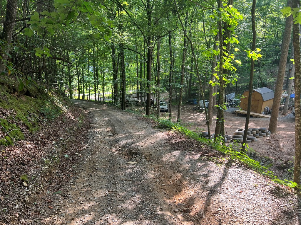 1380 Bluff Road Marble, NC 28905 - Photo 7 of 16