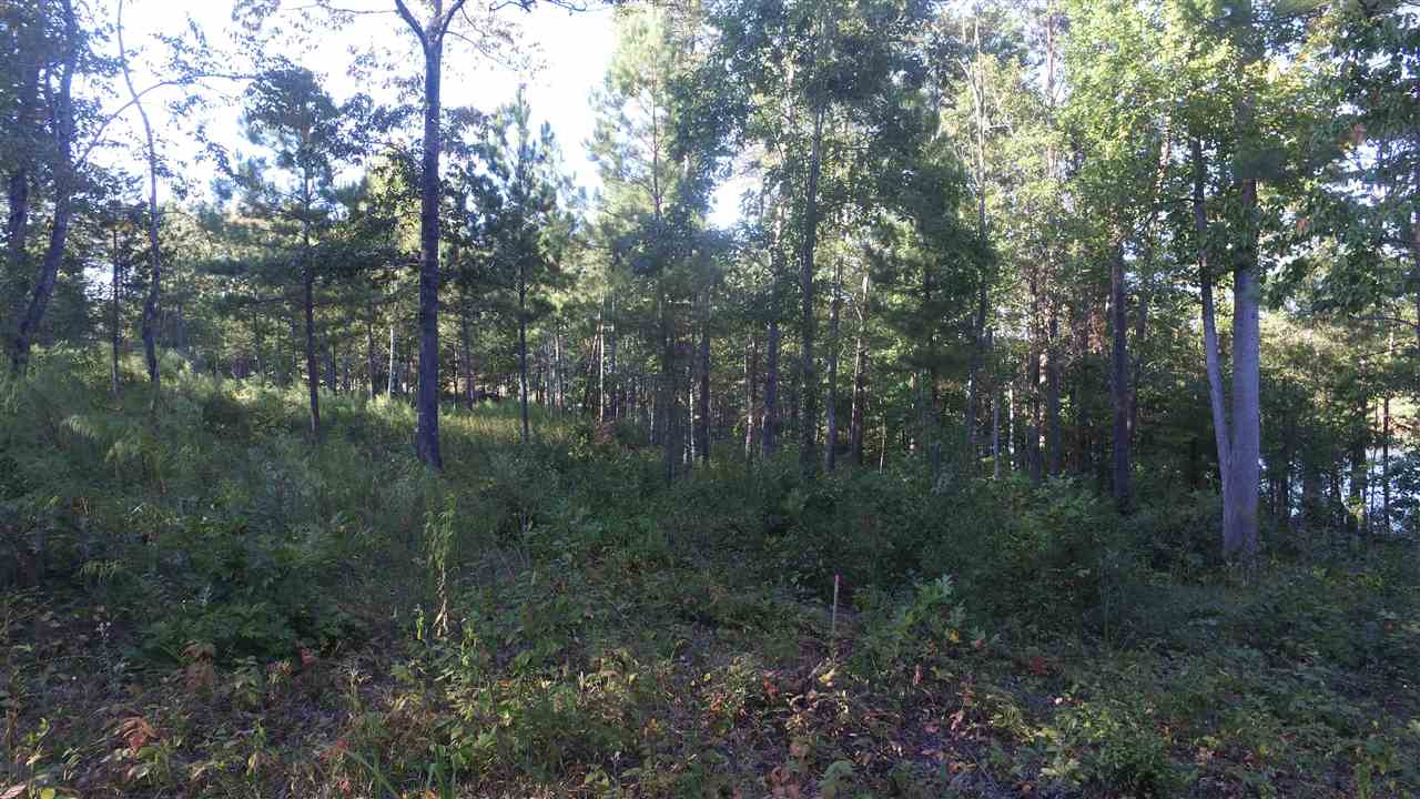 Lot 16 McAlister Road West Union, SC 29696 - Photo 2 of 10 Gallery Image 2