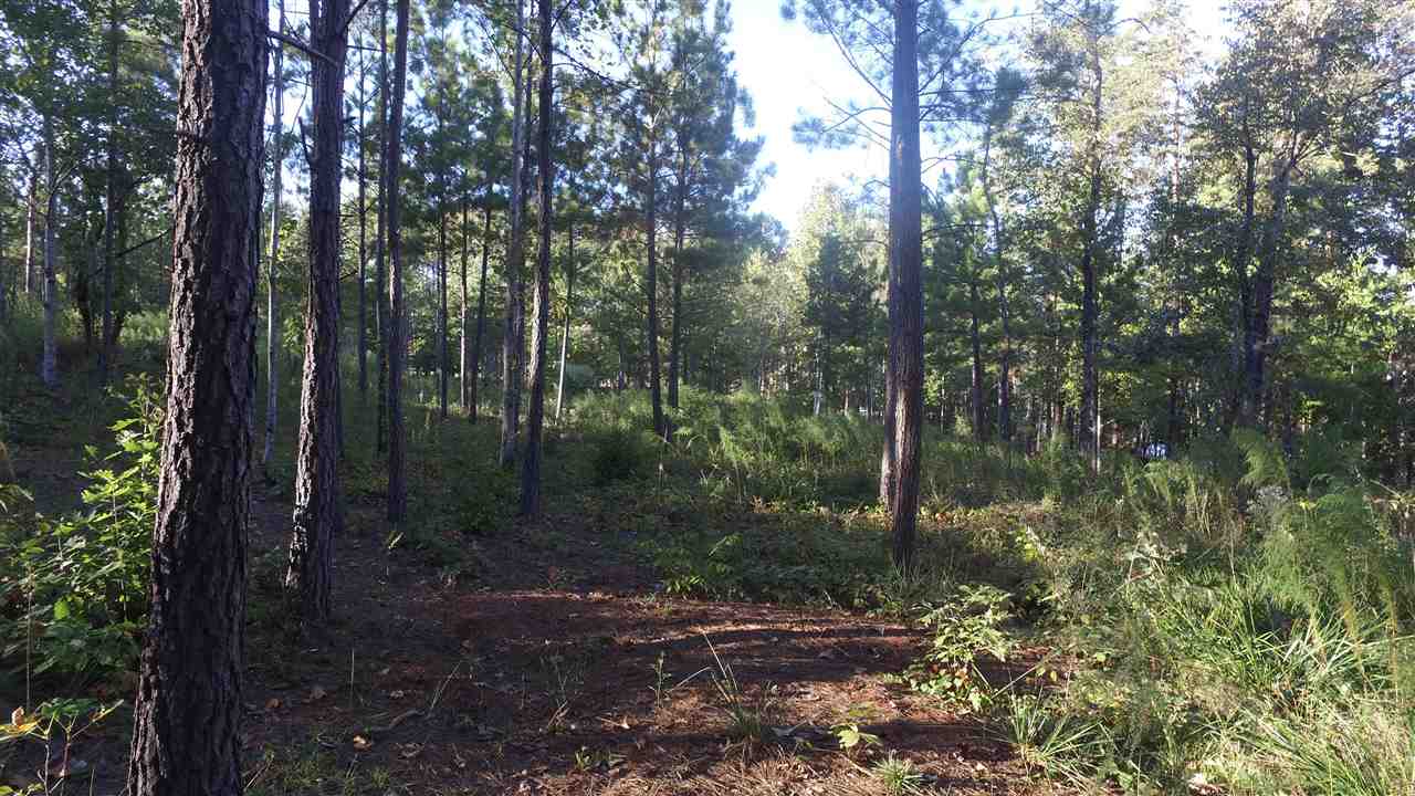 Lot 16 McAlister Road West Union, SC 29696 - Photo 3 of 10 Gallery Image 3