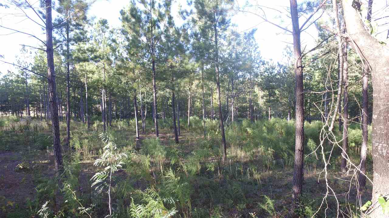 Lot 16 McAlister Road West Union, SC 29696 - Photo 4 of 10 Gallery Image 4