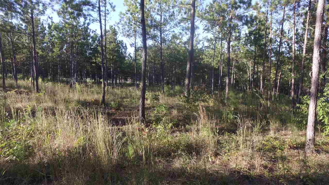 Lot 16 McAlister Road West Union, SC 29696 - Photo 5 of 10 Gallery Image 5