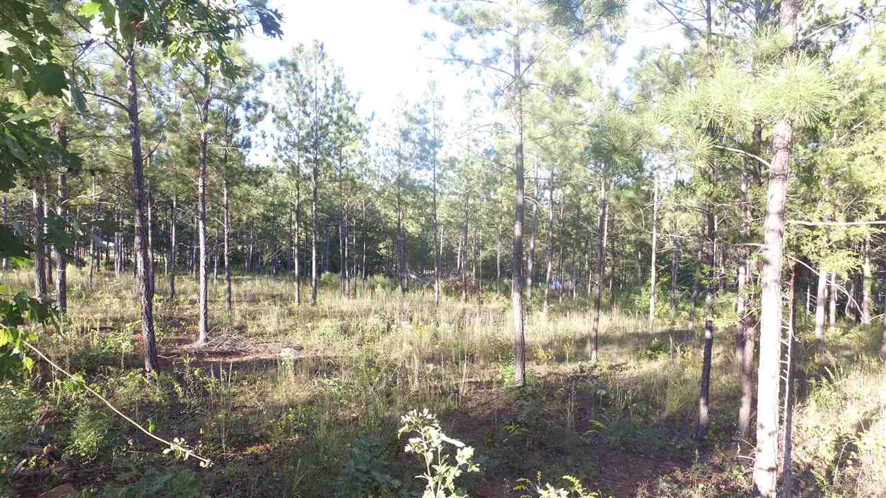 Lot 16 McAlister Road West Union, SC 29696 - Photo 6 of 10 Gallery Image 6