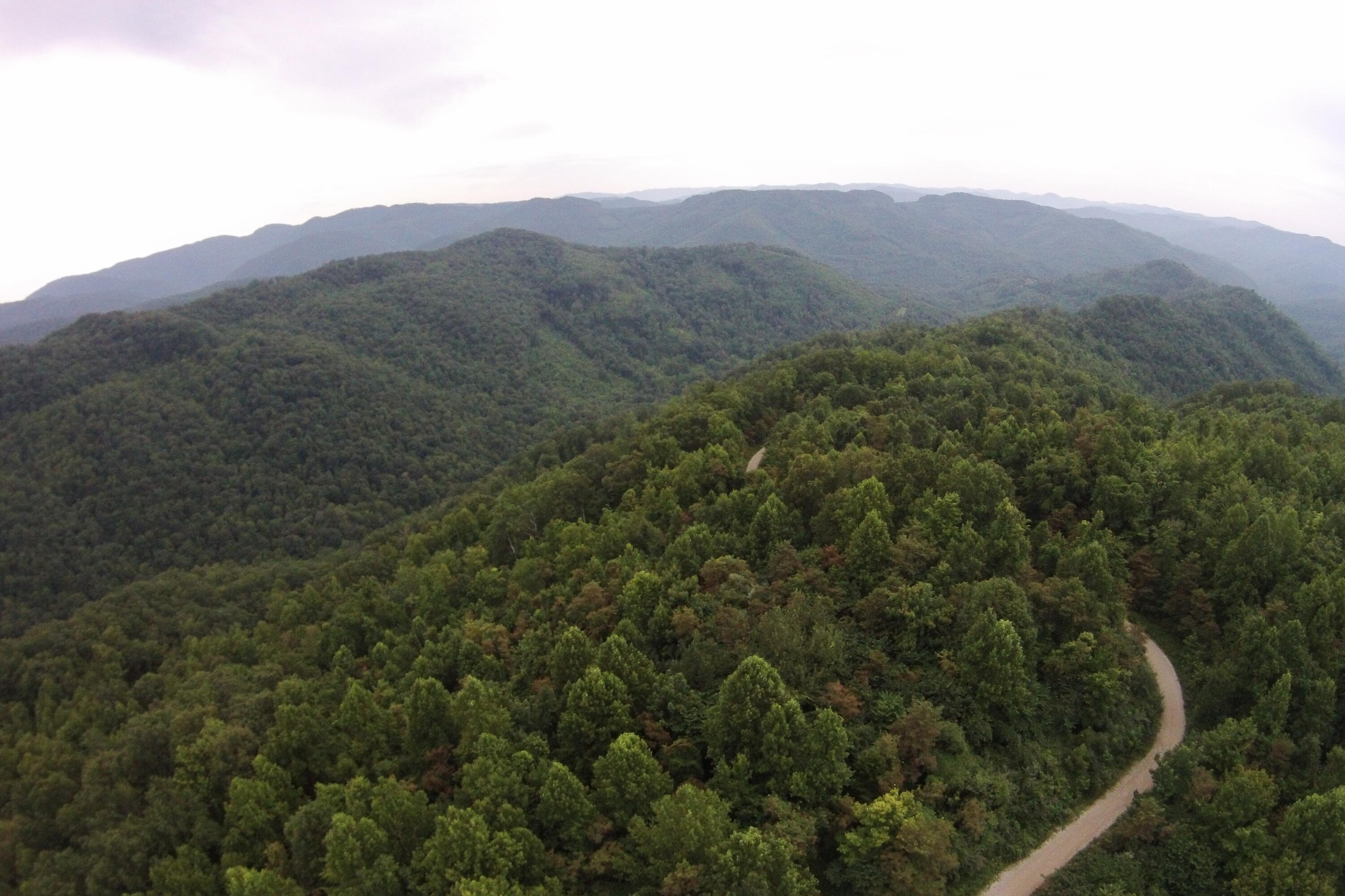 1 Straight Fork Road, Unit TRACT 1 Huntsville, TN 37756 - Photo 12 of 25 Aerial View 12