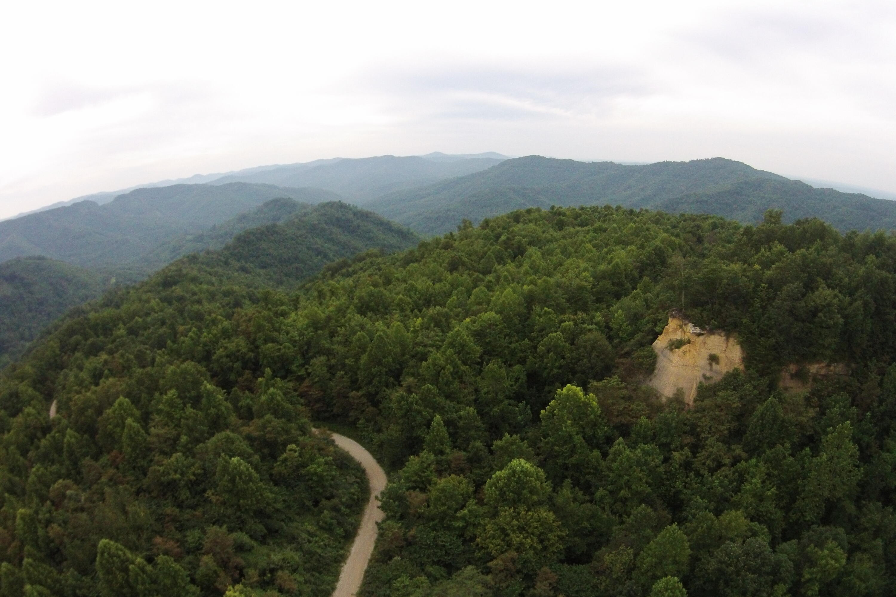 1 Straight Fork Road, Unit TRACT 1 Huntsville, TN 37756 - Photo 13 of 25 Aerial View 13