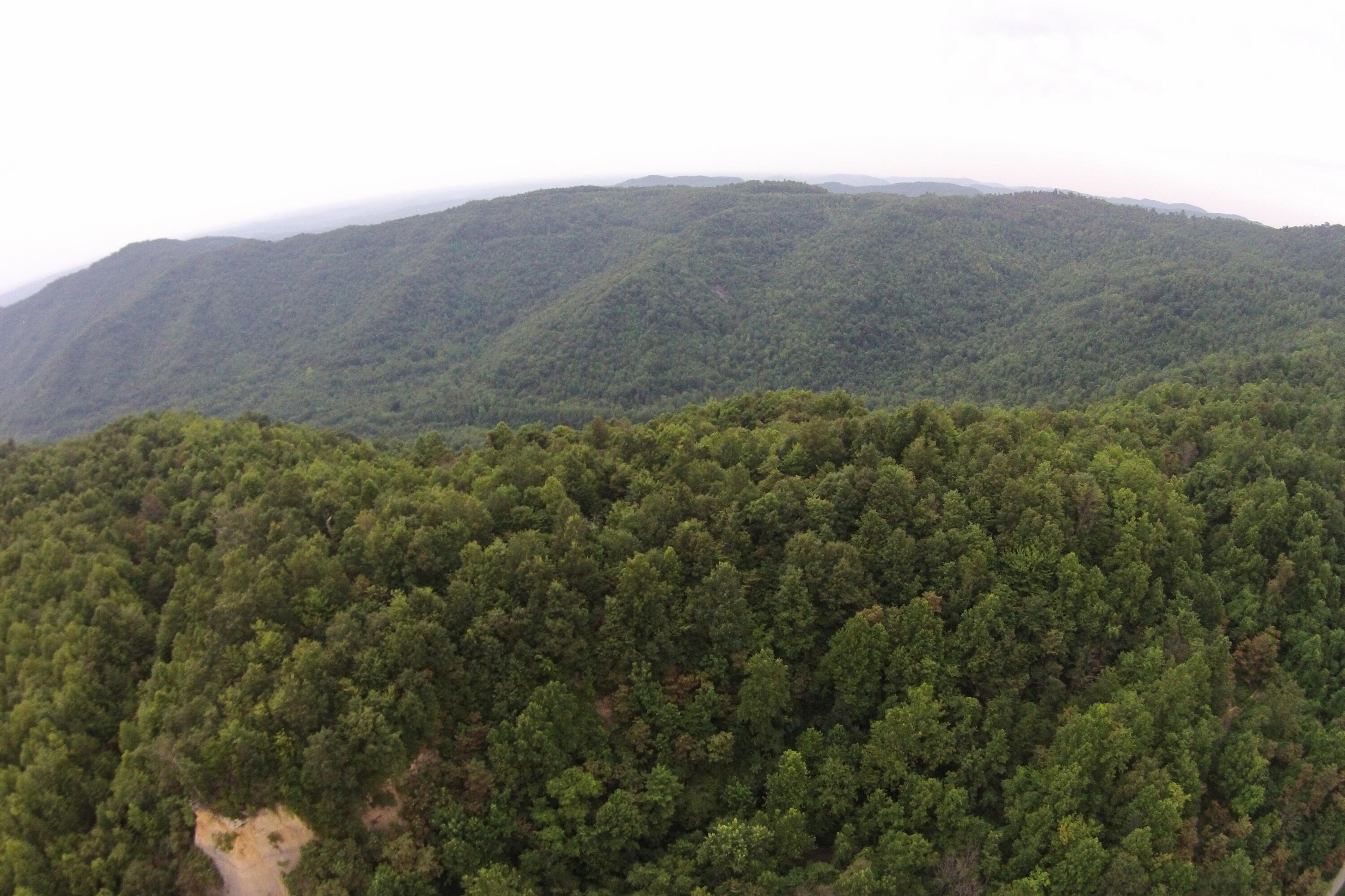 1 Straight Fork Road, Unit TRACT 1 Huntsville, TN 37756 - Photo 14 of 25 Aerial View 14