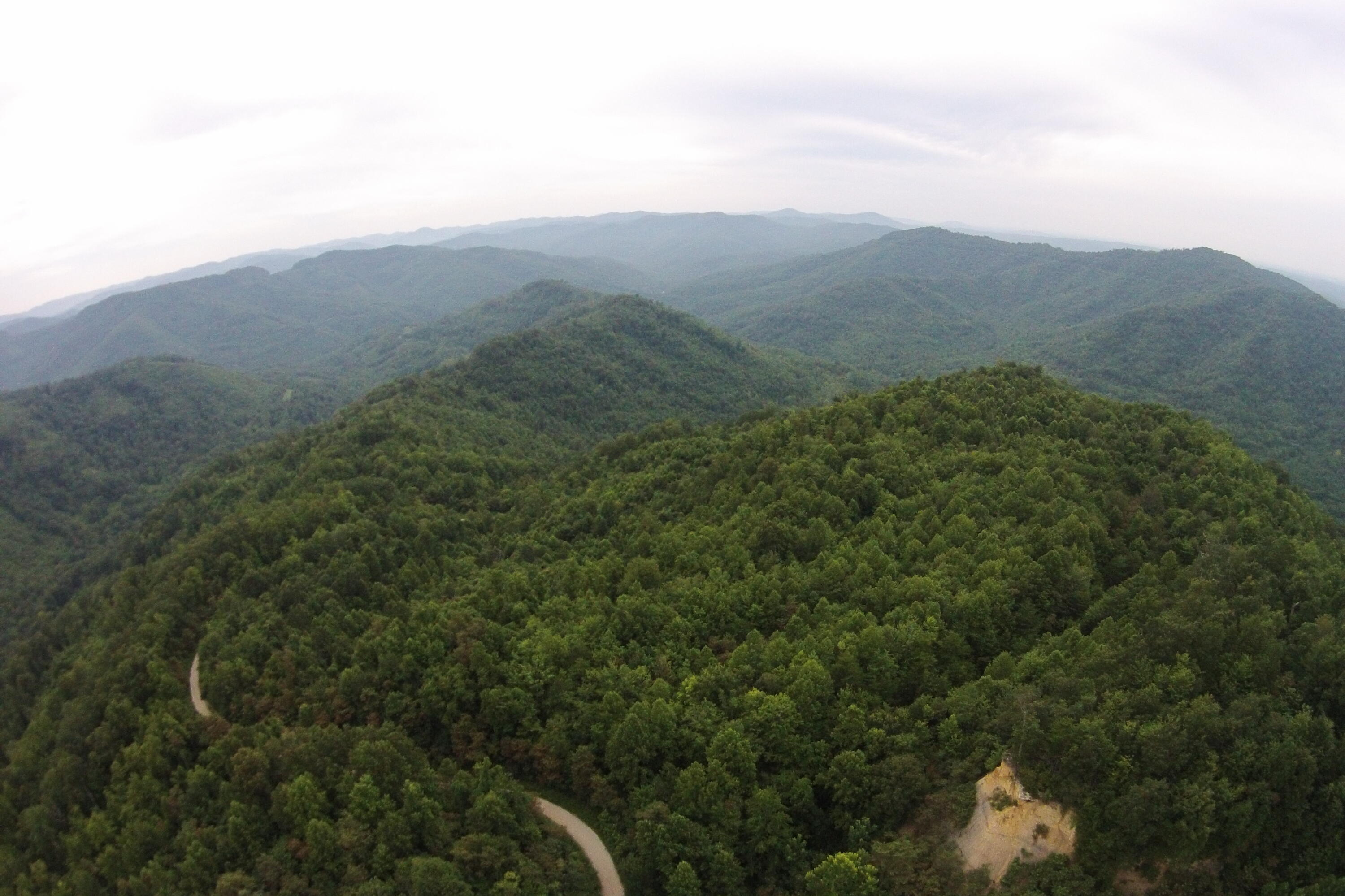 1 Straight Fork Road, Unit TRACT 1 Huntsville, TN 37756 - Photo 19 of 25 Aerial View 19