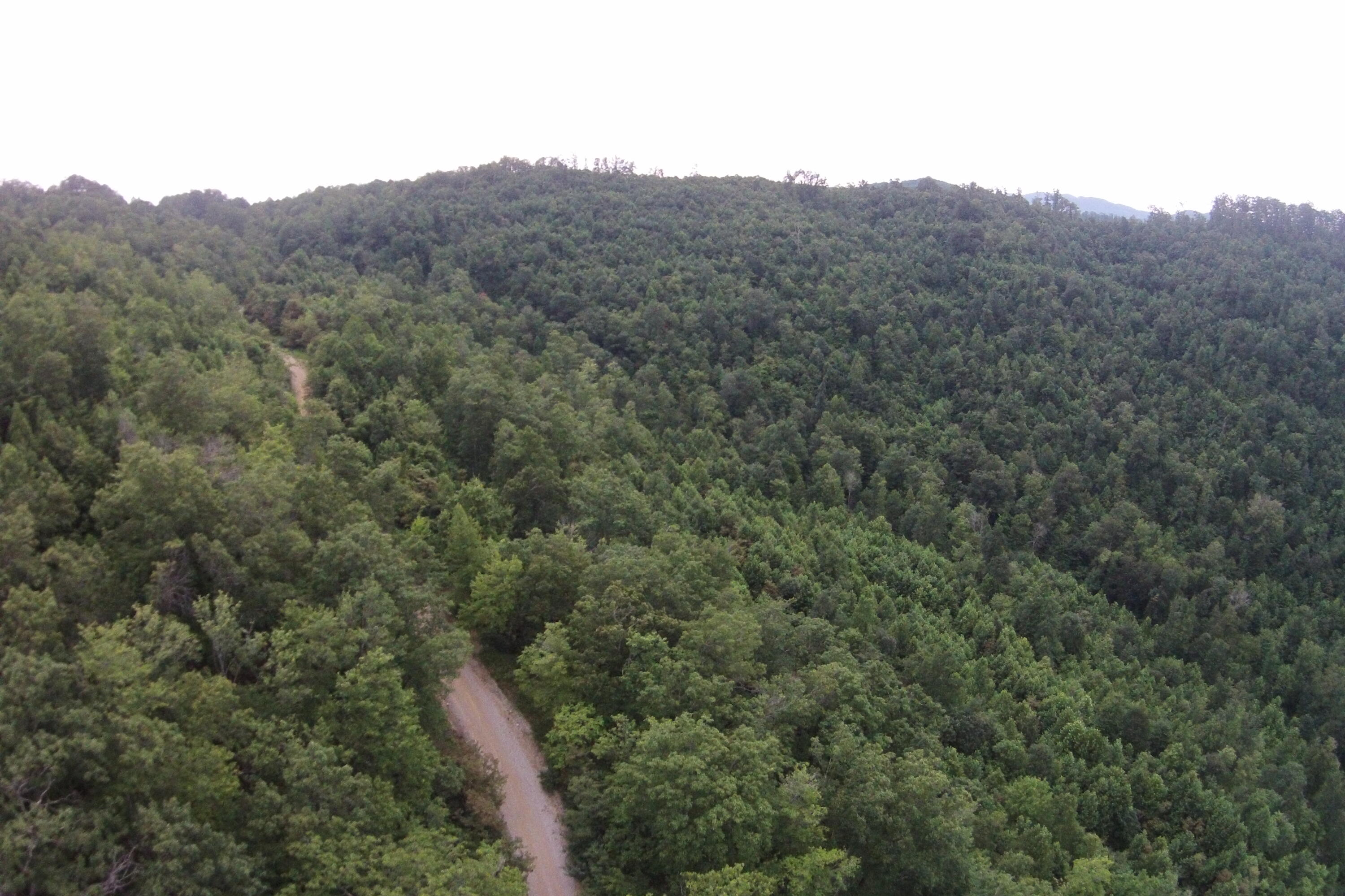 1 Straight Fork Road, Unit TRACT 1 Huntsville, TN 37756 - Photo 2 of 25 Aerial View 3