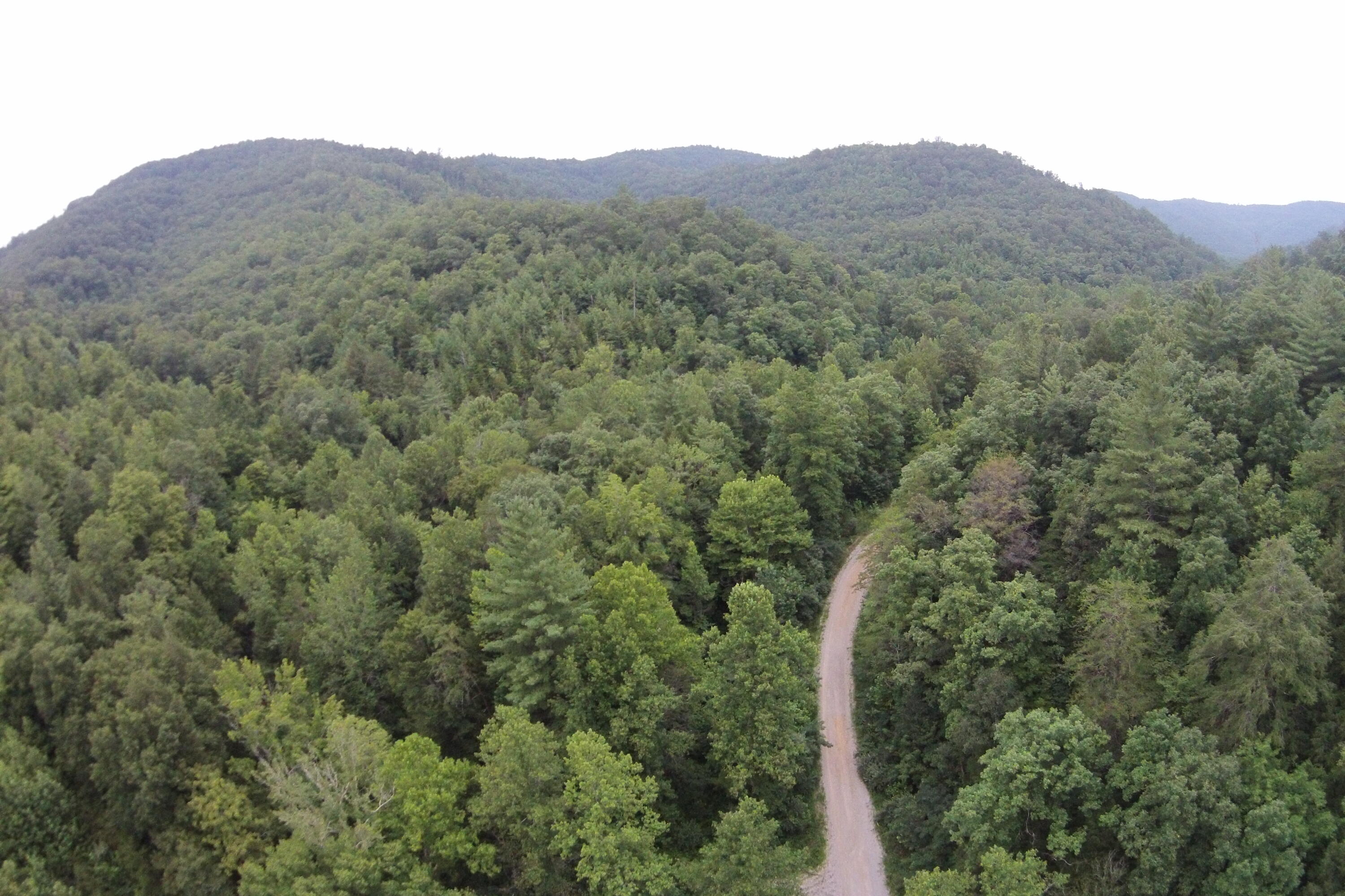 1 Straight Fork Road, Unit TRACT 1 Huntsville, TN 37756 - Photo 21 of 25 Aerial View 23