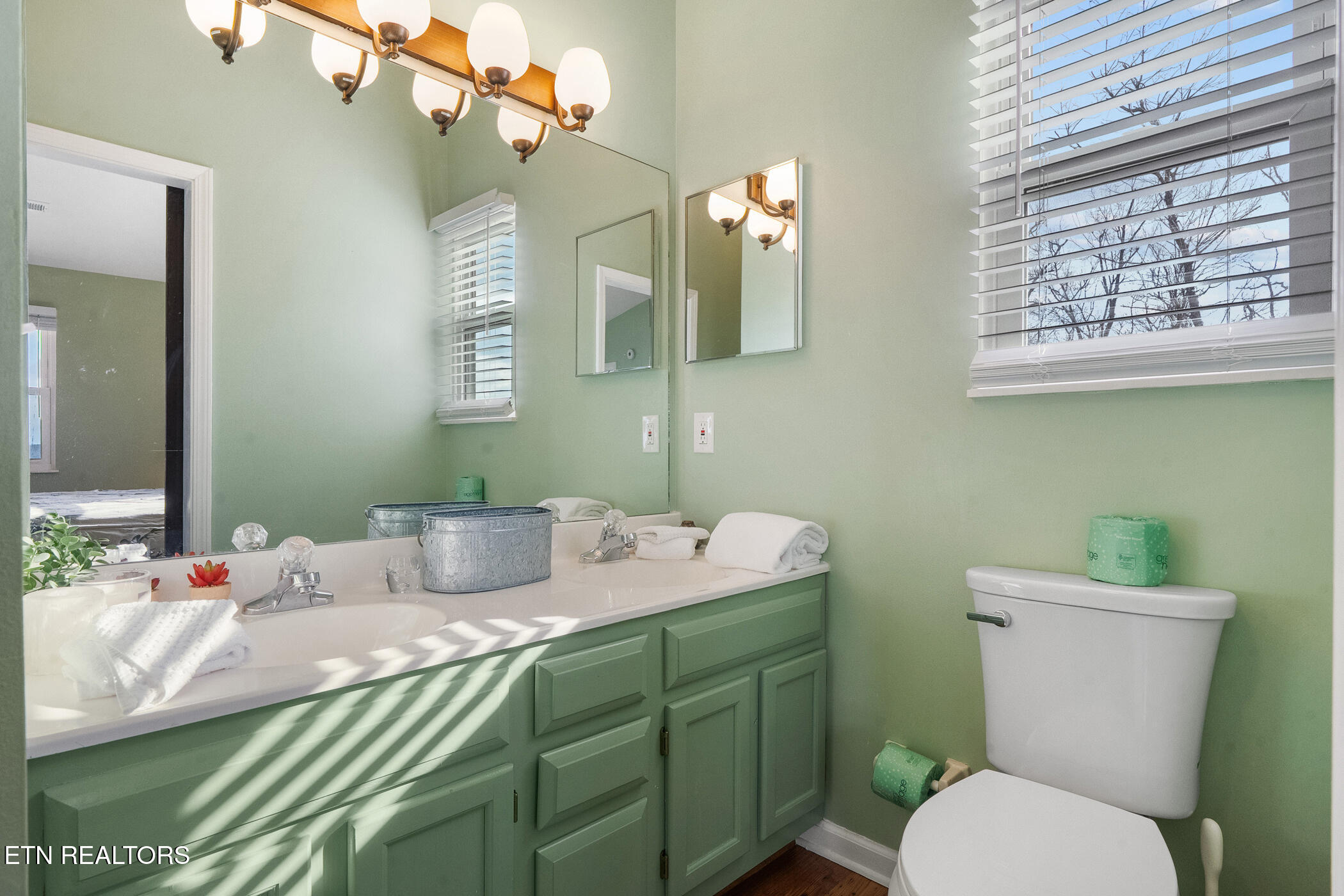 2701 Indigo Lane Sevierville, TN 37862 - Photo 22 of 45 dsc06809