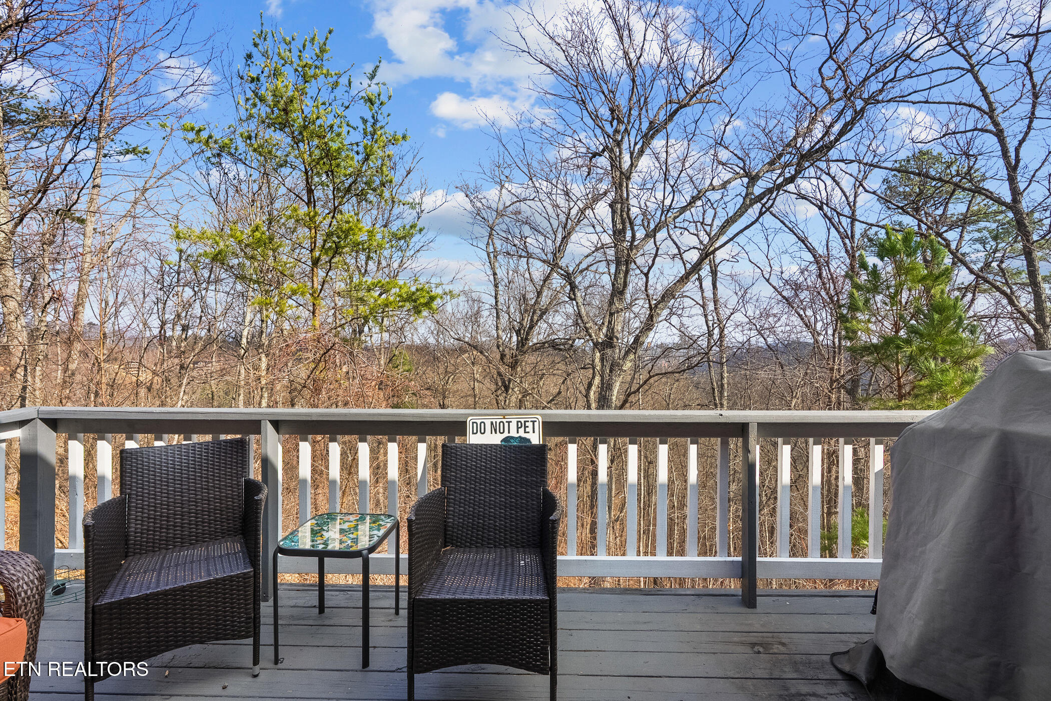 2701 Indigo Lane Sevierville, TN 37862 - Photo 33 of 45 dsc06819