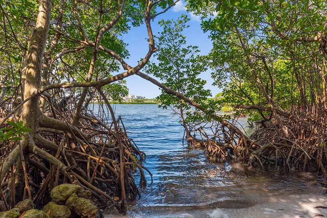 $4,900,000 | 23 Northeast MacArthur Boulevard, Stuart, FL 34996