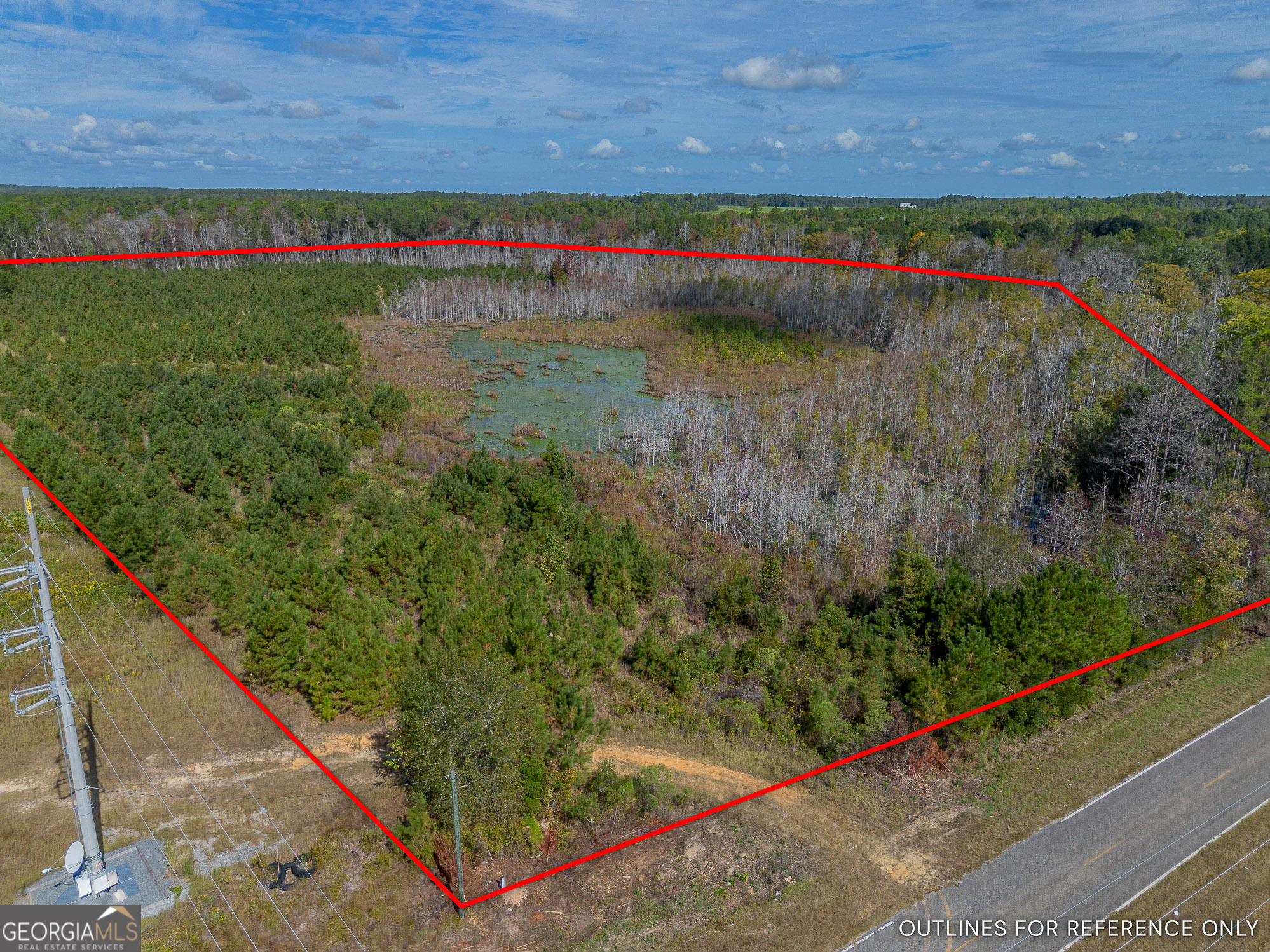 Tract 1 Kinnett Road Jacksonville, GA 31544 - Photo 2 of 8