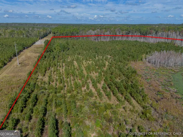 $135,000 | Tract 1 Kinnett Road, Jacksonville, GA 31544