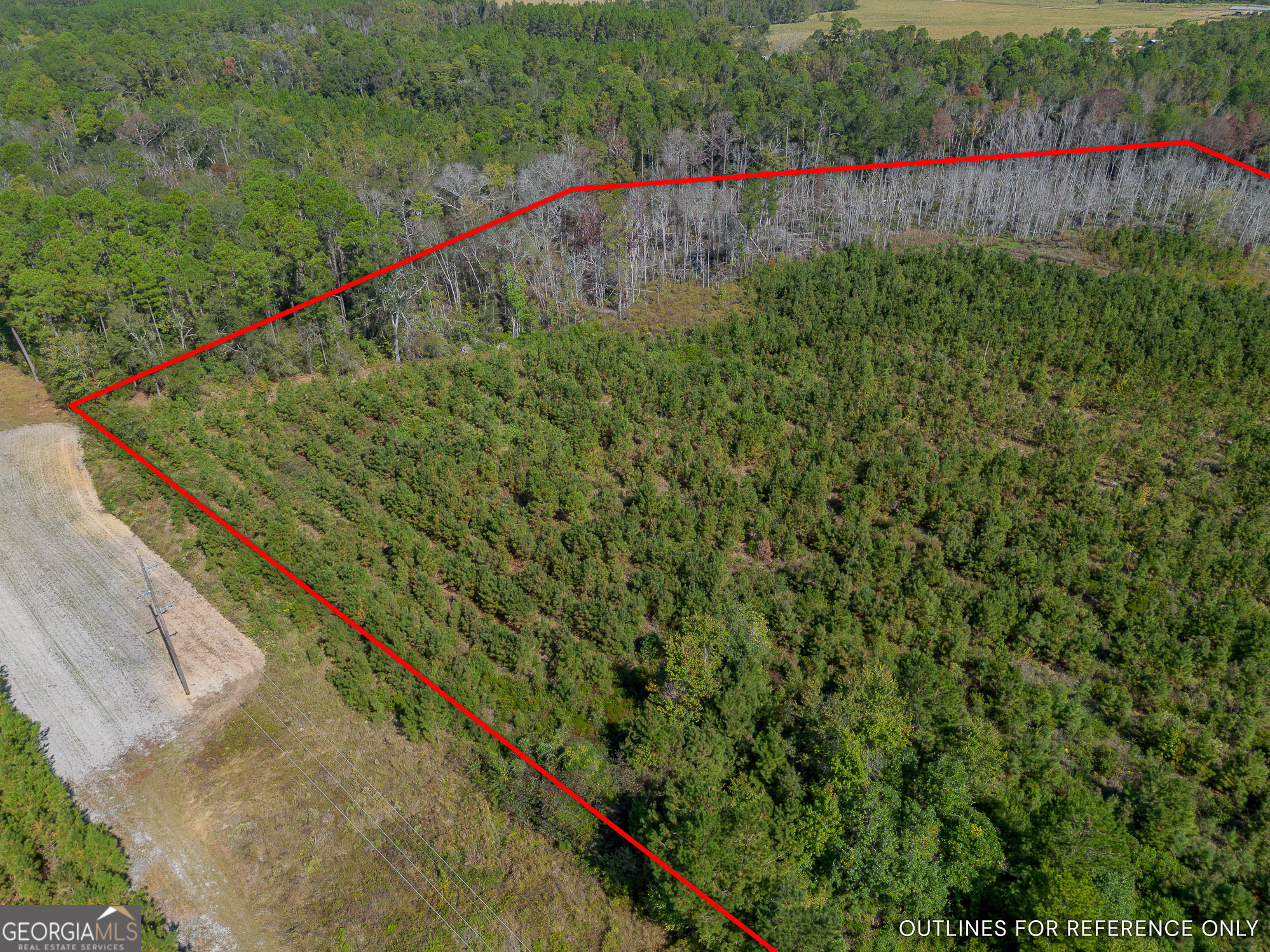 Tract 1 Kinnett Road Jacksonville, GA 31544 - Photo 4 of 8