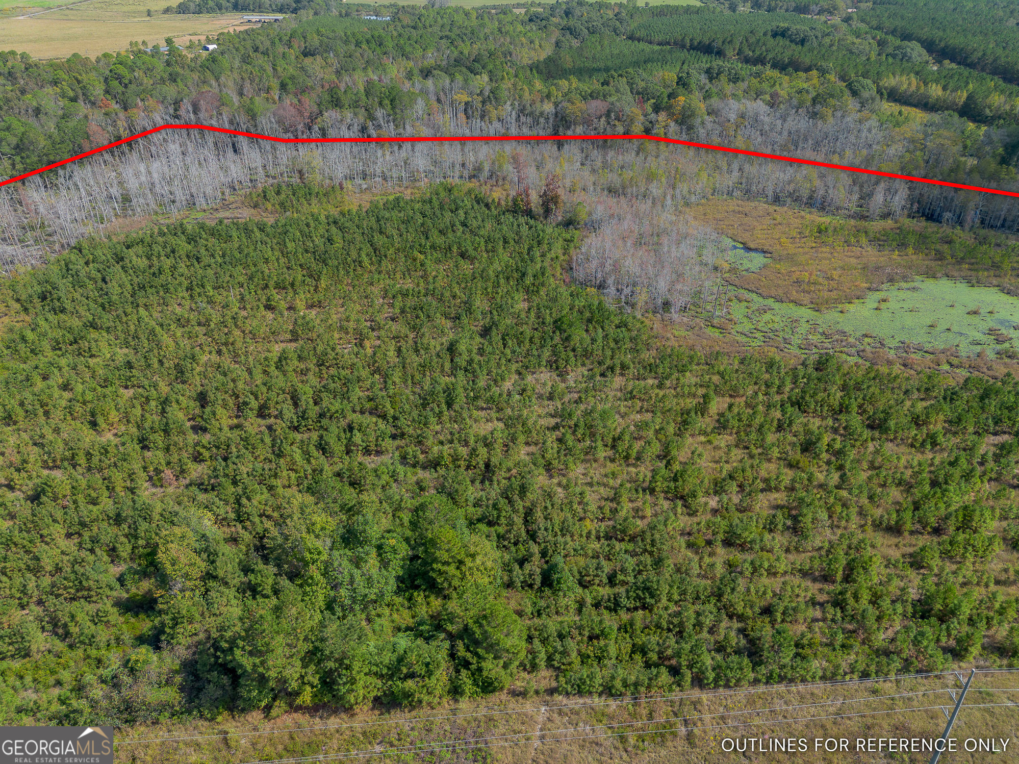 Tract 1 Kinnett Road Jacksonville, GA 31544 - Photo 5 of 8