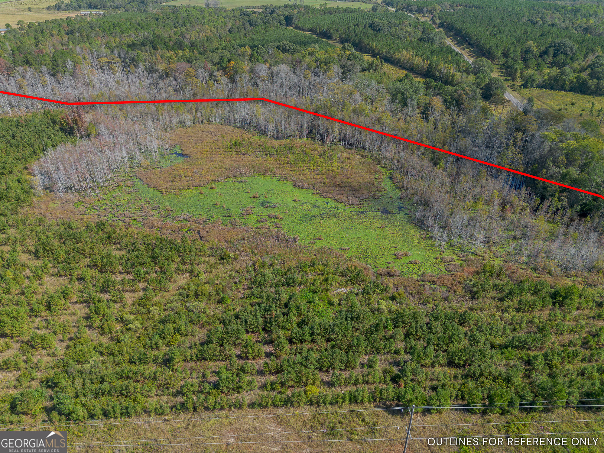 Tract 1 Kinnett Road Jacksonville, GA 31544 - Photo 6 of 8