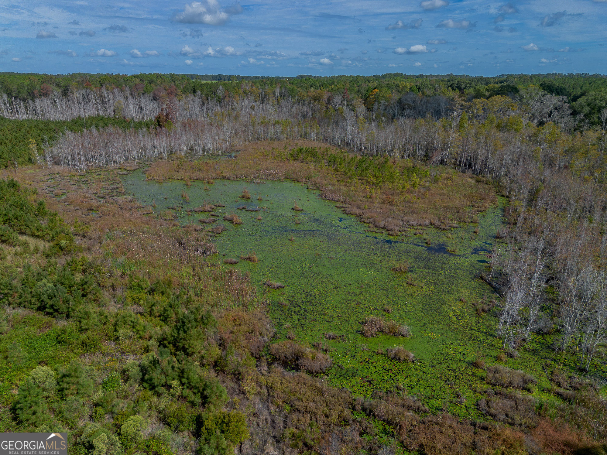 Tract 1 Kinnett Road Jacksonville, GA 31544 - Photo 7 of 8