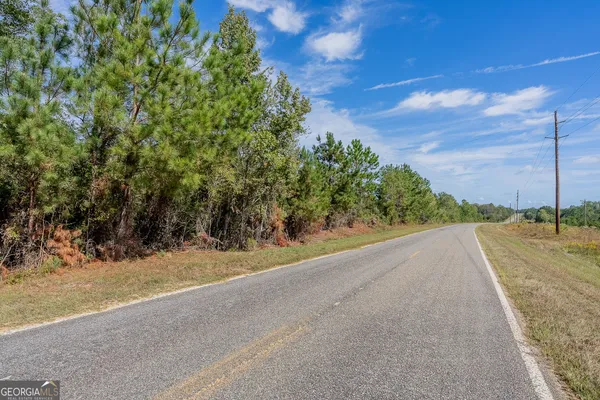 $135,000 | Tract 1 Kinnett Road, Jacksonville, GA 31544