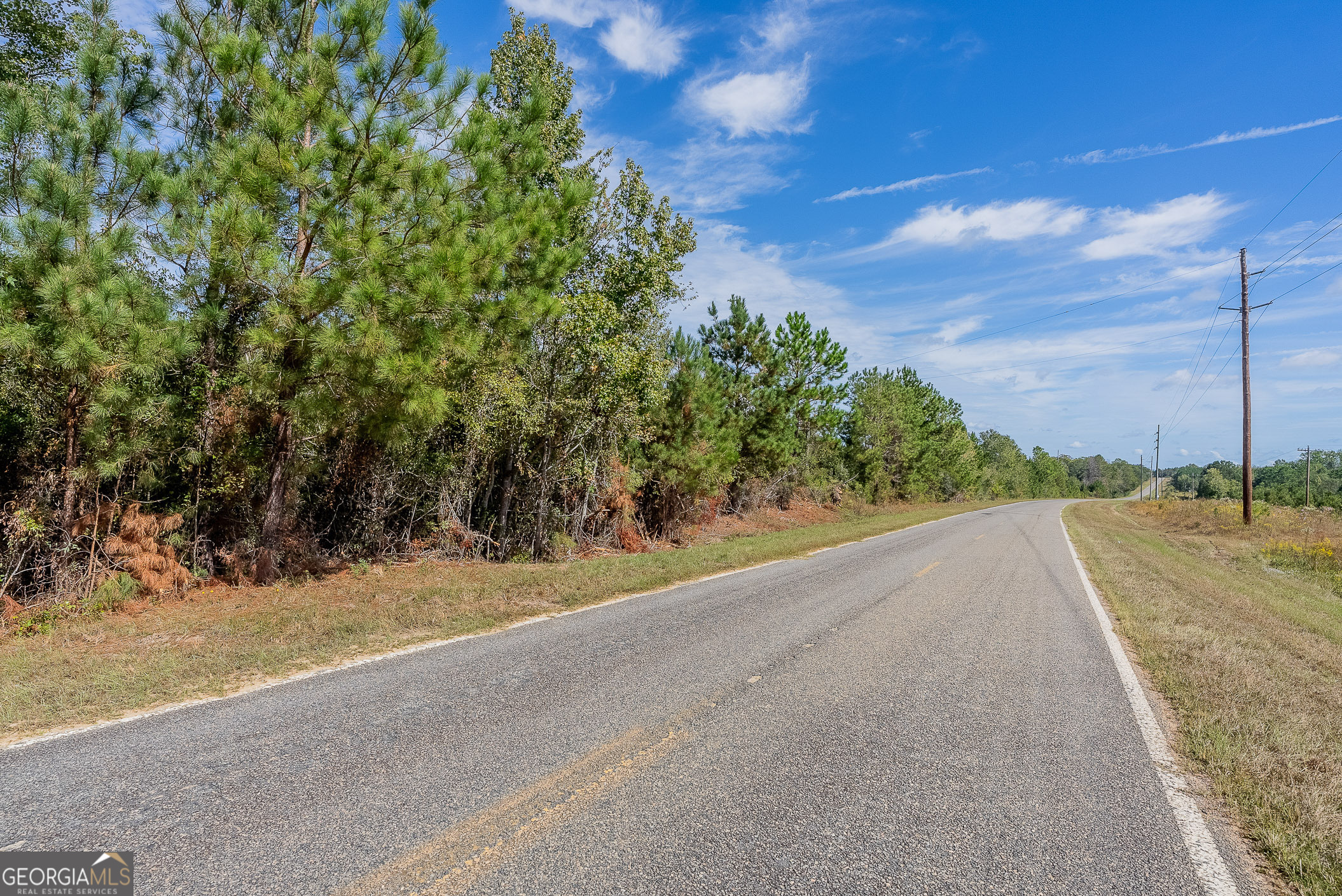 Tract 1 Kinnett Road Jacksonville, GA 31544 - Photo 8 of 8