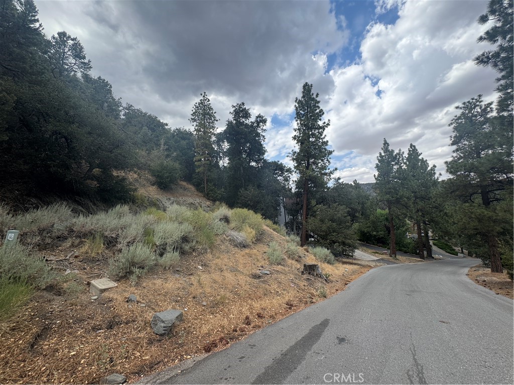1772 Ash Road Wrightwood, CA 92397 - Photo 1 of 6 a view of a dry yard with trees