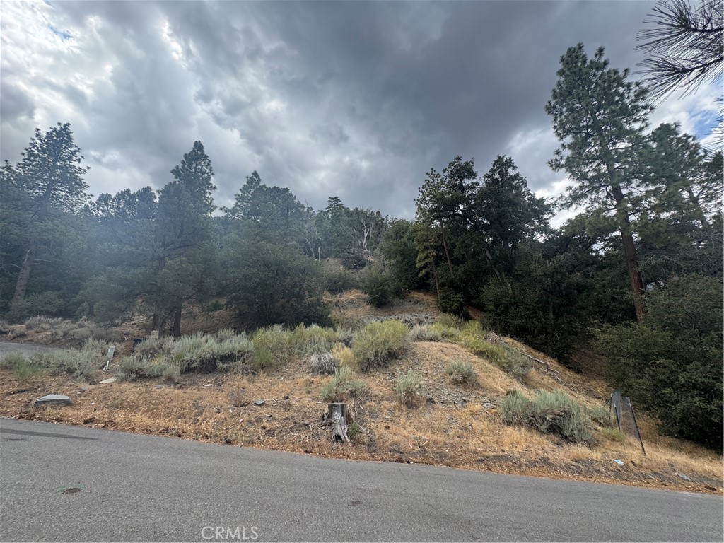 1772 Ash Road Wrightwood, CA 92397 - Photo 6 of 6 a view of a dry yard with trees