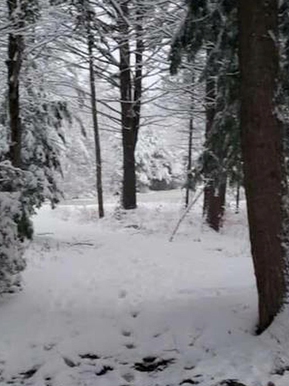 945 Lebanon Road Acton, ME 04001 - Photo 8 of 40 32 math