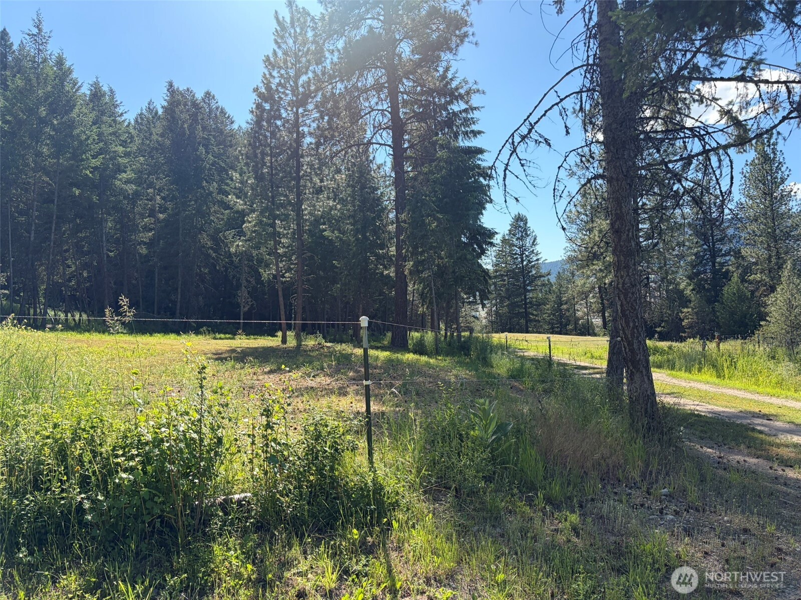 88 Little Bear Road Republic, WA 99166 - Photo 32 of 38