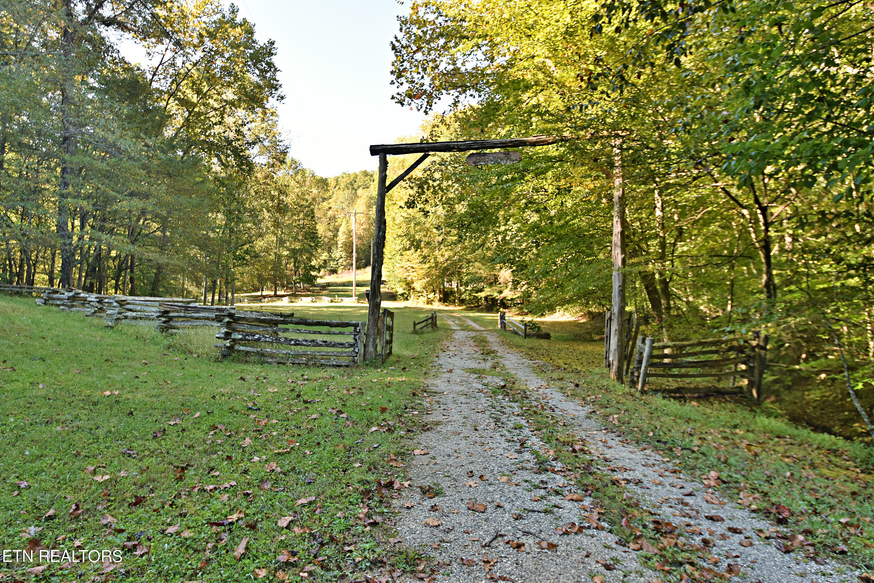 Low Gap Road Helenwood, TN 37755 - Photo 16 of 24 DSC_8245