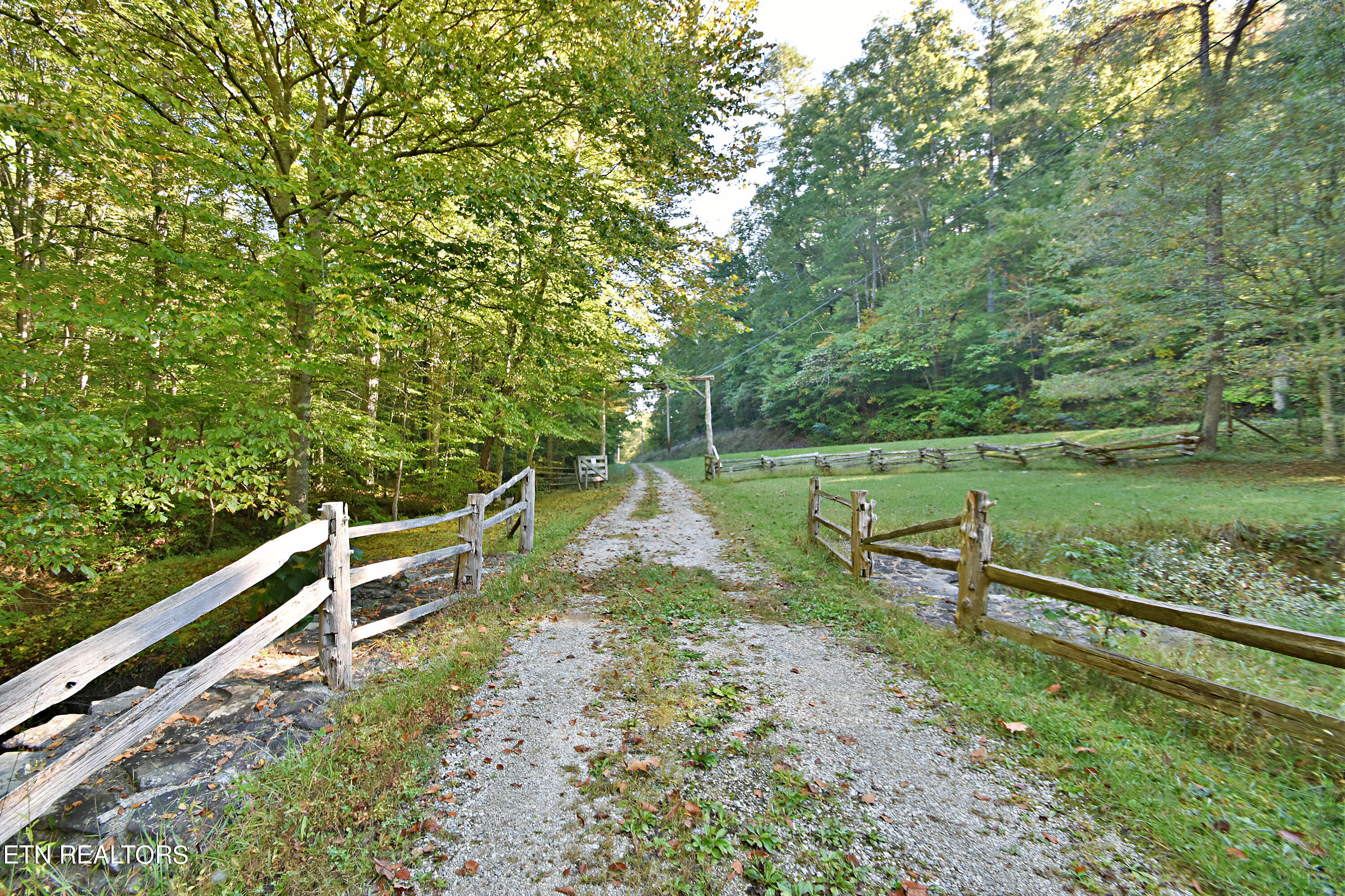 Low Gap Road Helenwood, TN 37755 - Photo 17 of 24 DSC_8242
