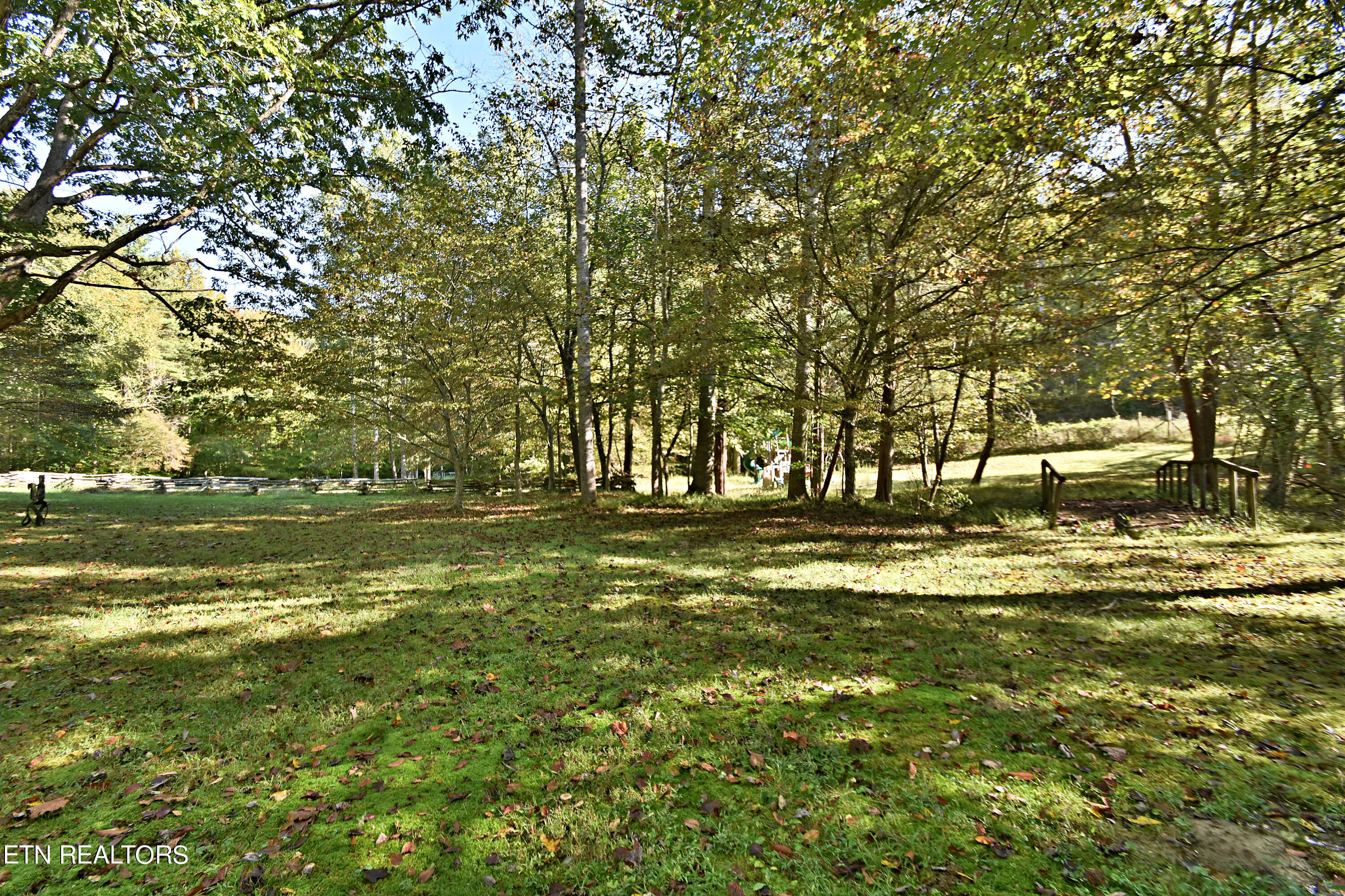 Low Gap Road Helenwood, TN 37755 - Photo 20 of 24 DSC_8235