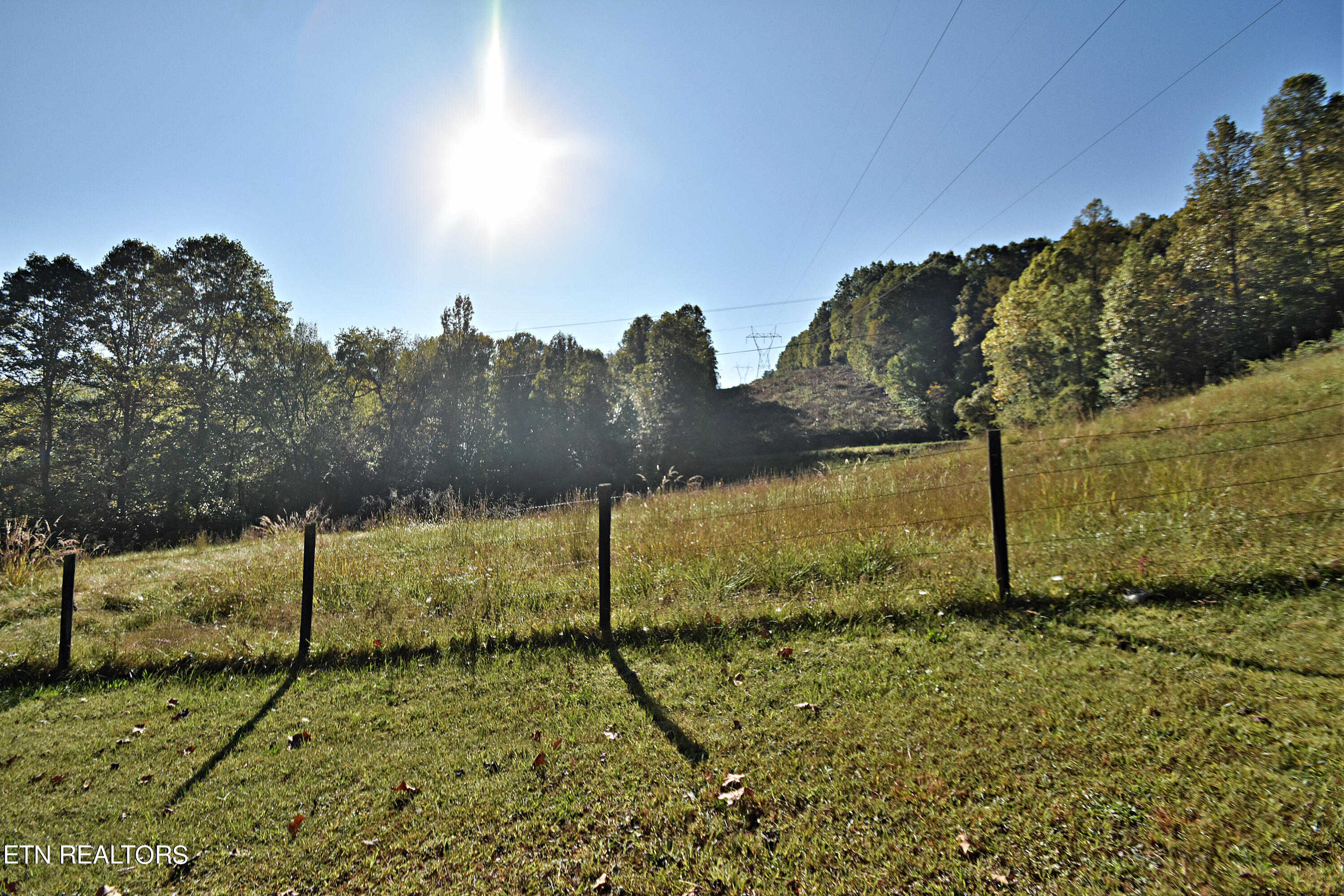 Low Gap Road Helenwood, TN 37755 - Photo 24 of 24 DSC_8229