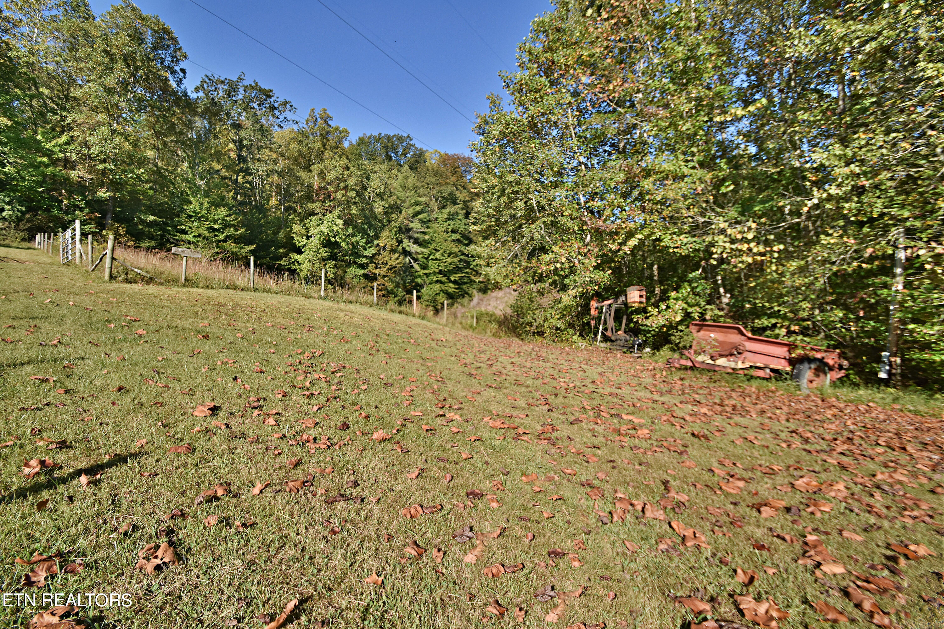 Low Gap Road Helenwood, TN 37755 - Photo 5 of 24 DSC_8224