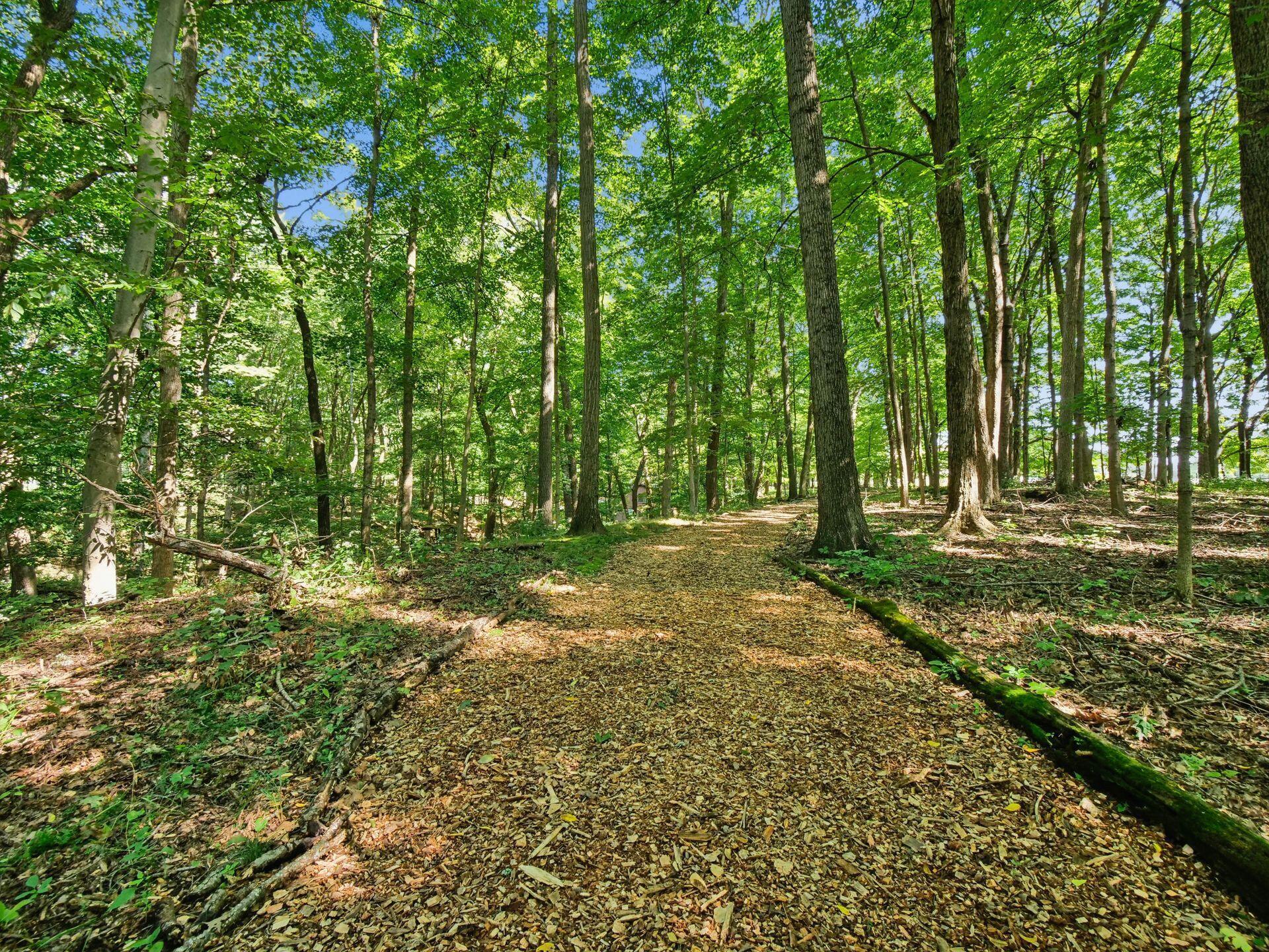 6218 Harlem Road Westerville, OH 43082 - Photo 51 of 146 049_ Westerville OH 43082 USA