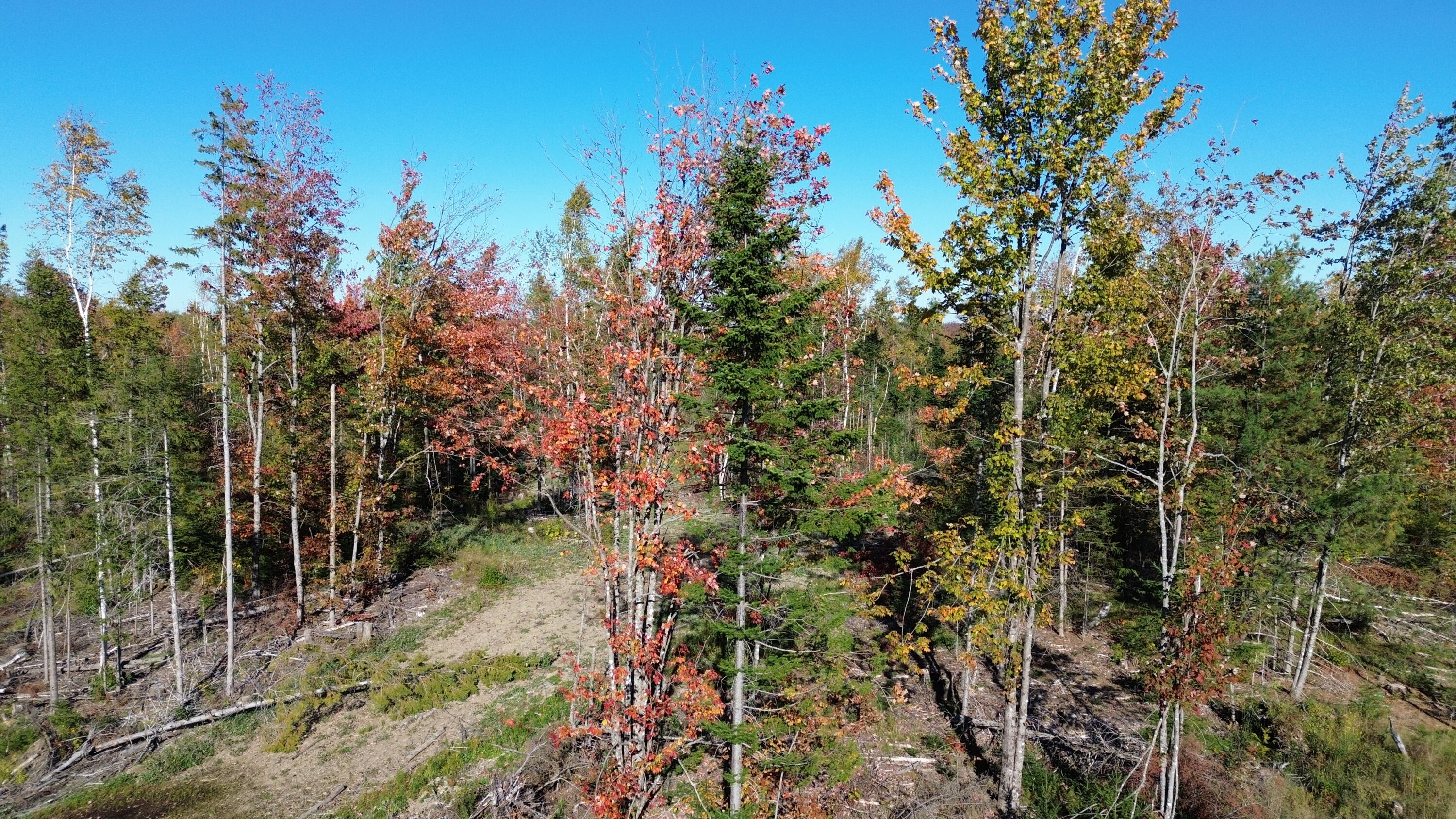 G Dudley Road Mapleton, ME 04757 - Photo 13 of 13 DJI_0092