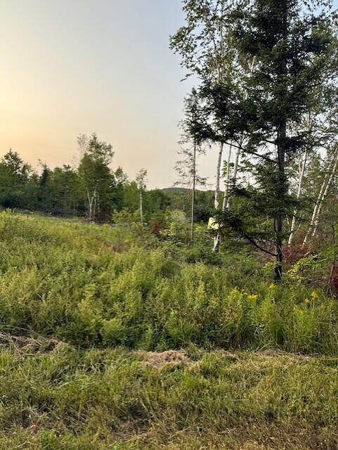 G Dudley Road Mapleton, ME 04757 - Photo 6 of 13 thumbnail_IMG_1058