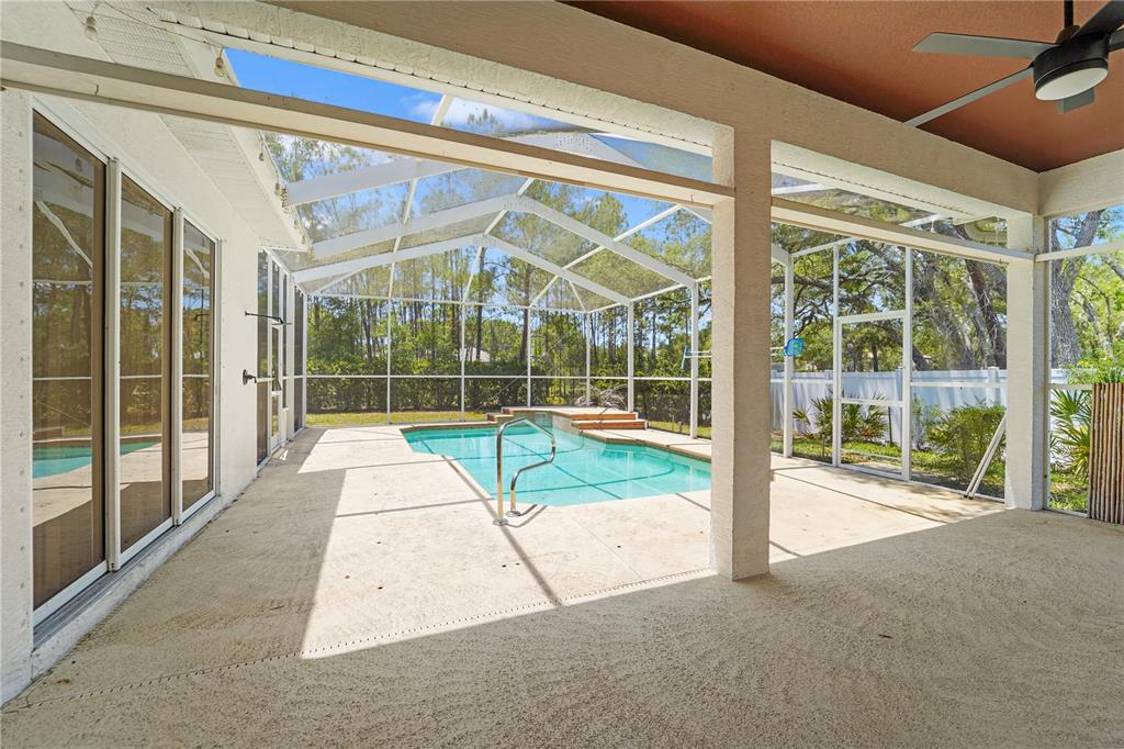 9183 Nightingale Road Weeki Wachee, FL 34613 - Photo 25 of 32