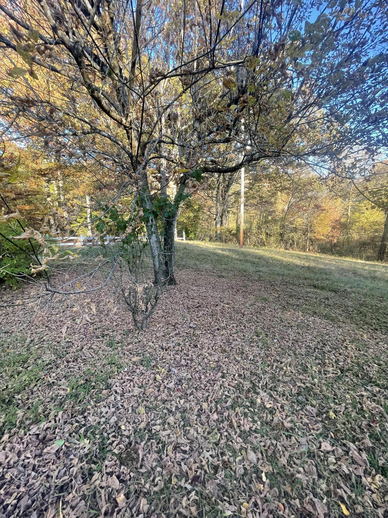 951 Swan Lake Road Barbourville, KY 40906 - Photo 12 of 15 9CE431AF-3214-4CBB-A2C9-76DA93F47597