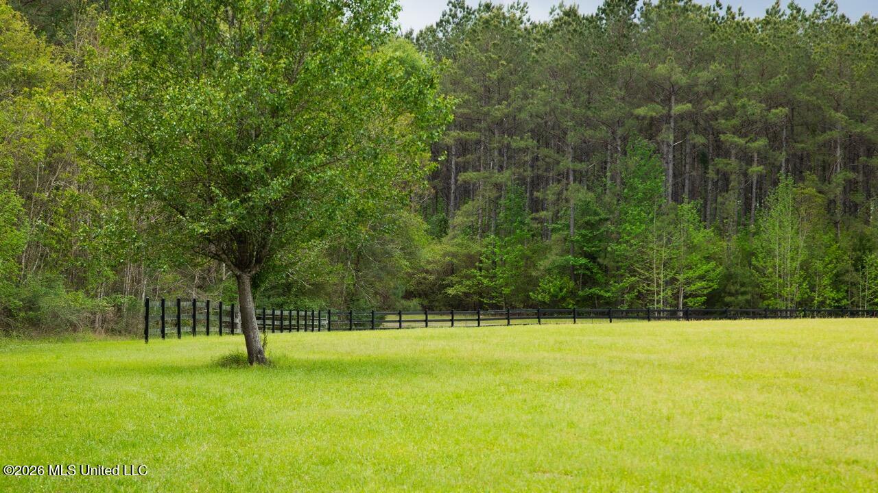 1979 Leman Road Oakdale, LA 71463 - Photo 33 of 44 0R6C9963 Large