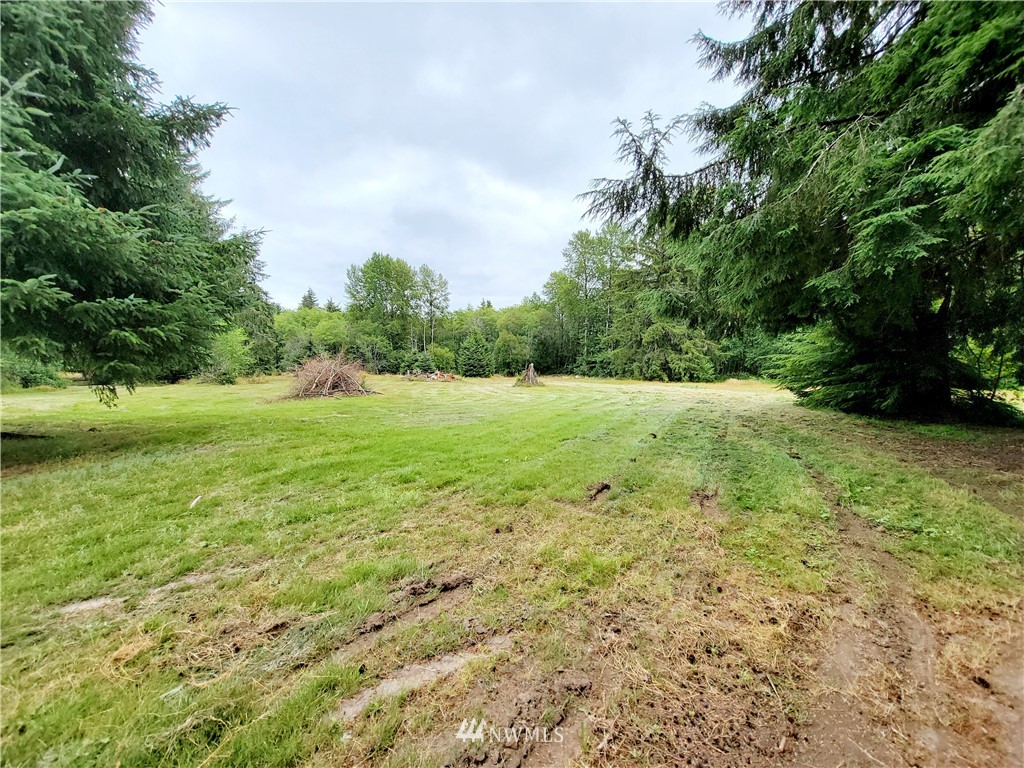 123 Hokanson Road Elma, WA 98541 - Photo 30 of 37 Gallery Image 30