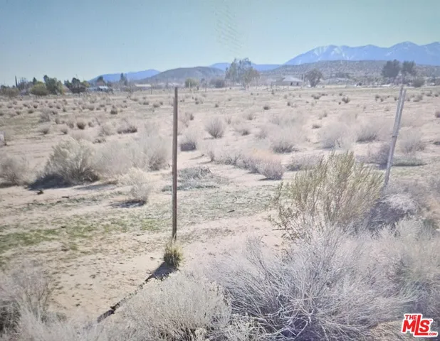 a view of a backyard of a house