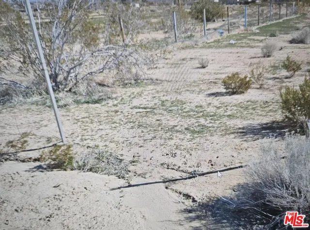 a view of a dry yard covered with snow in the outdoor