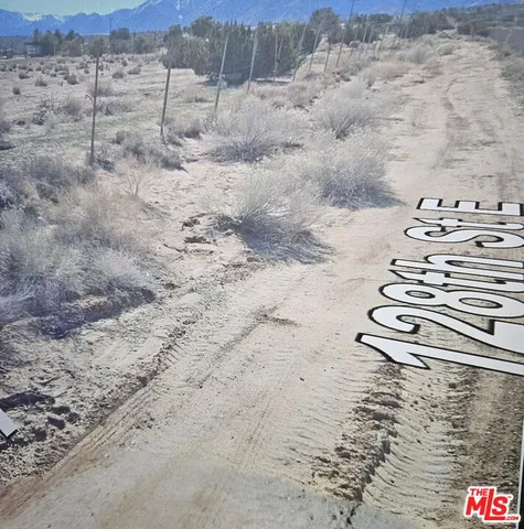 a view of a dry yard with wooden fence