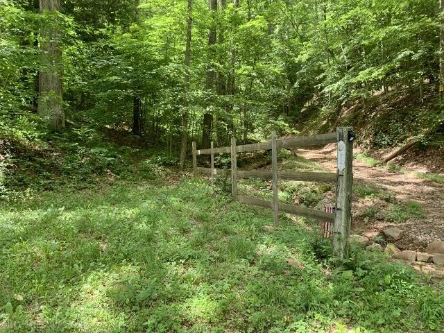 Tbd Gravely Hill Road Ripplemead, VA 24150 - Photo 3 of 13 Gallery Image 3