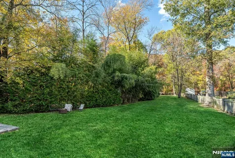 a view of a yard with plants and trees