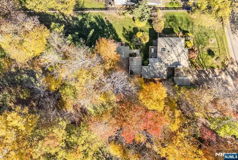 a view of a yard with plants