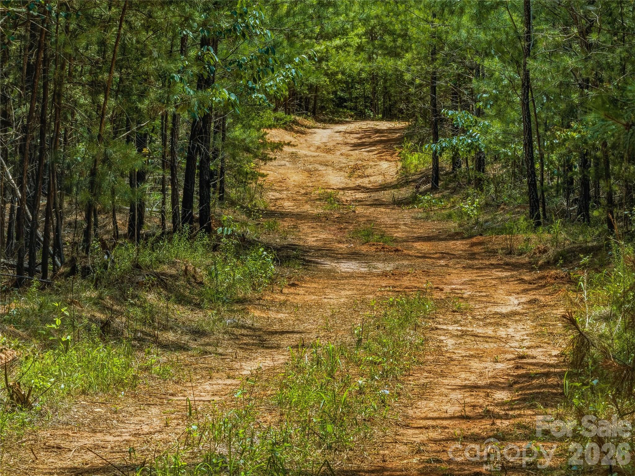 6783 Peniel Road Tryon, NC 28782 - Photo 12 of 36