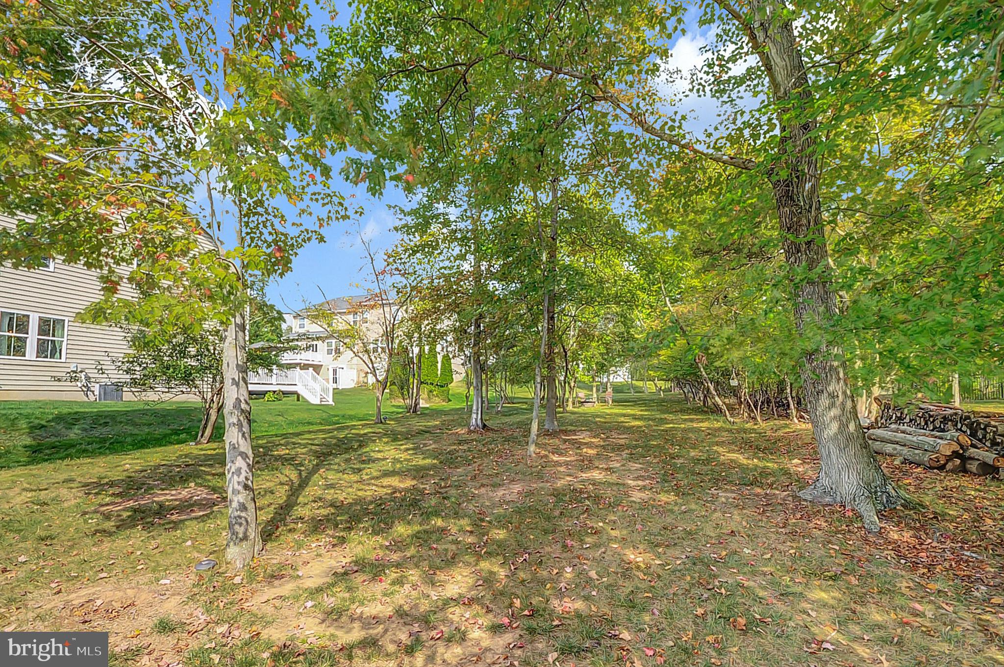 2405 Cindy Lane Warrington, PA 18976 - Photo 41 of 42 a view of a park with large trees
